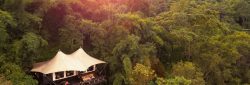 Four Seasons Tented Camp - Aerial
