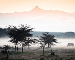 Kenya