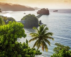 True Travel Dominican Republic