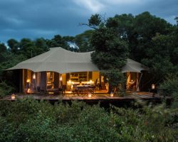 Mara Plains Camp - Suite - Exterior View