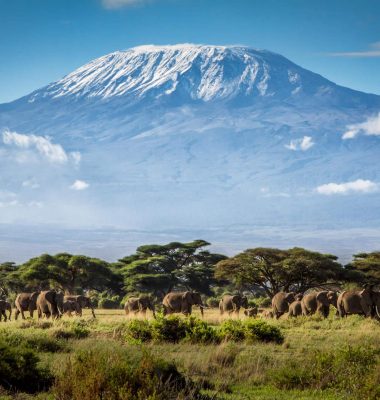 Mount-Kilimanjaro-Pictures-with-Safaris
