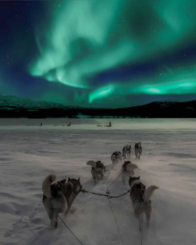 Northern Lights - Norway