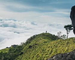 Panama - Cloud Forest