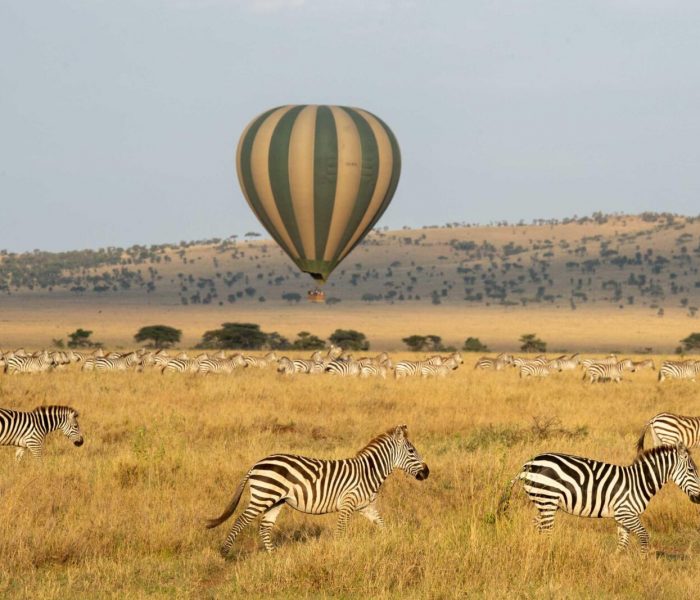 Serengeti - Hot Air Balloon