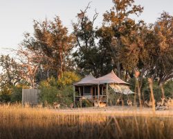 Wilderness Little Vumbura